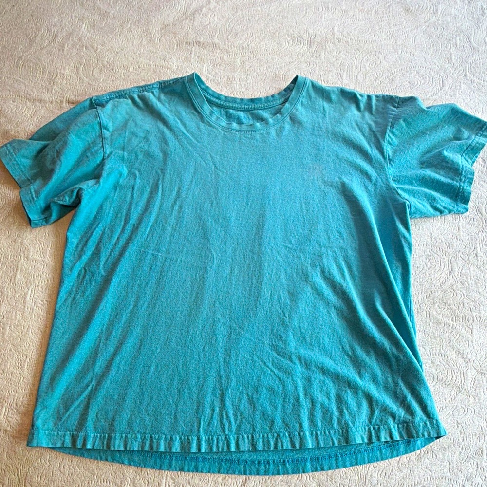 Men's XL Blue Crew Neck Short Sleeve Graphic Print T-Shirt No Shoes No Shirt